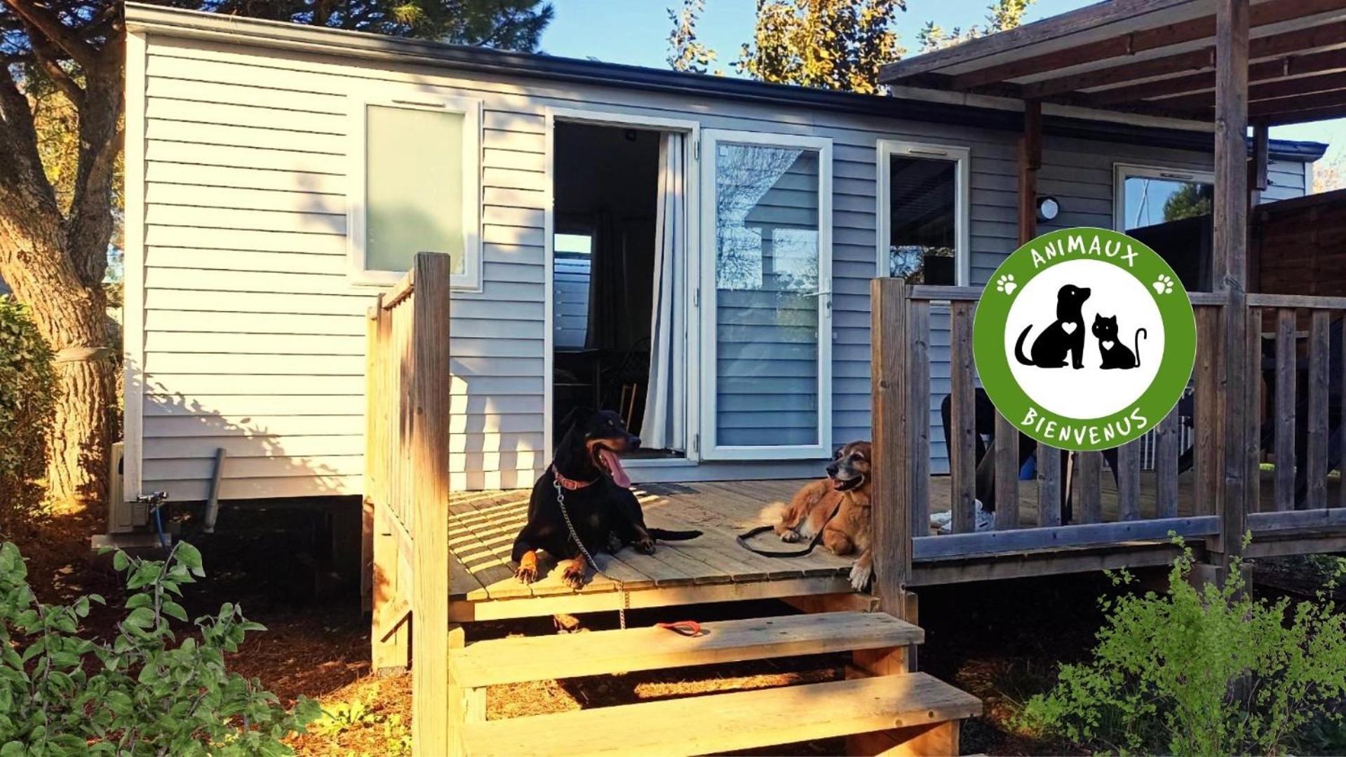 Entre Mer Et Roseaux - Piscine - Proche Centre Et Mer - Petfriendly 拉诺维勒港 外观 照片