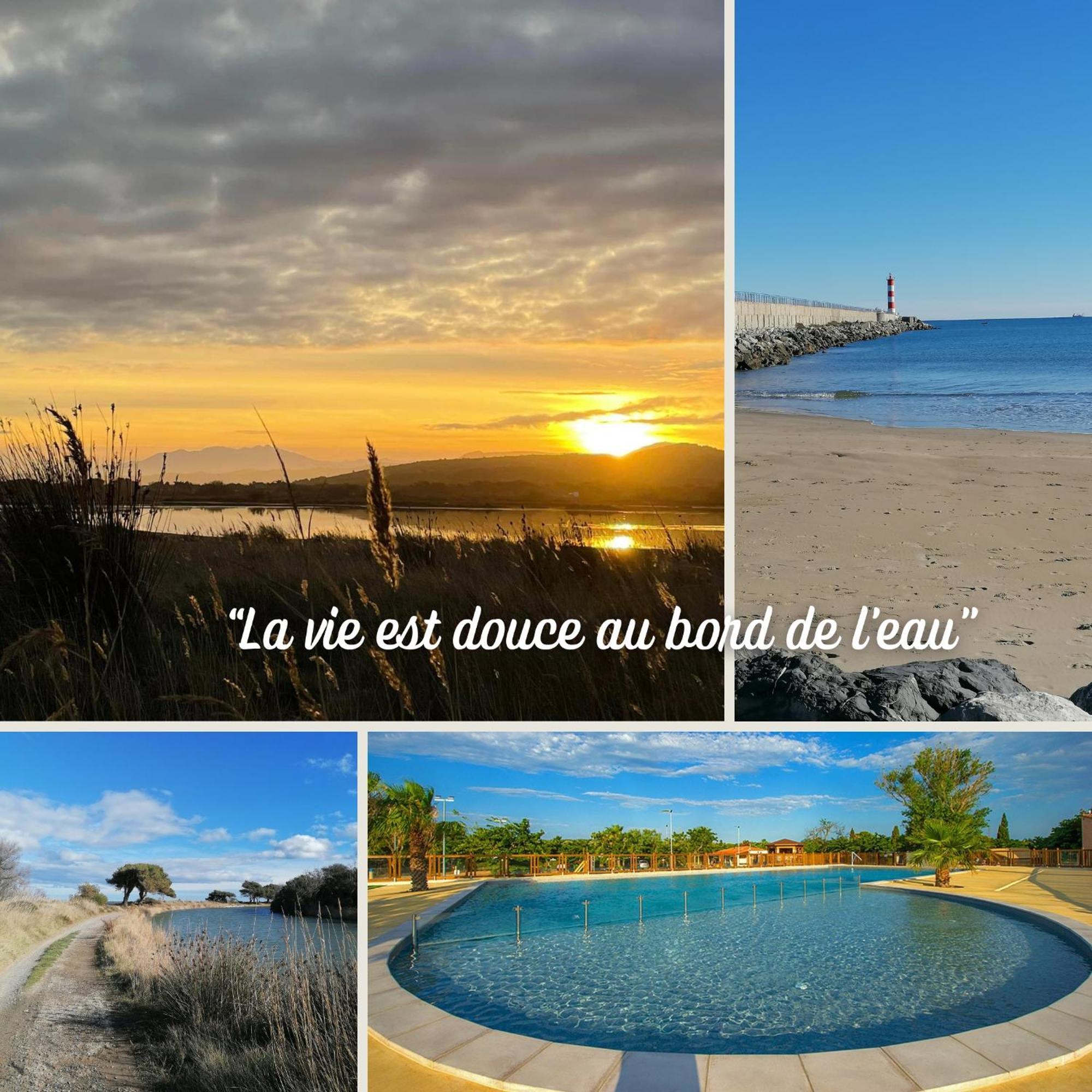 Entre Mer Et Roseaux - Piscine - Proche Centre Et Mer - Petfriendly 拉诺维勒港 客房 照片